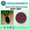 Free samples carrot powder/black carrot powder/carrot extract